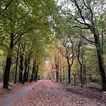 De Evelien