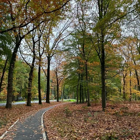 De Evelien フォールトハイゼン