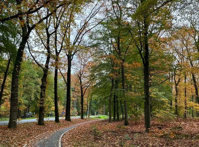 De Evelien Voorthuizen