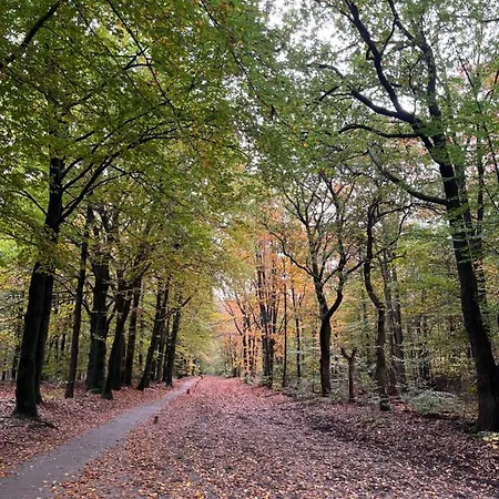 De Evelien